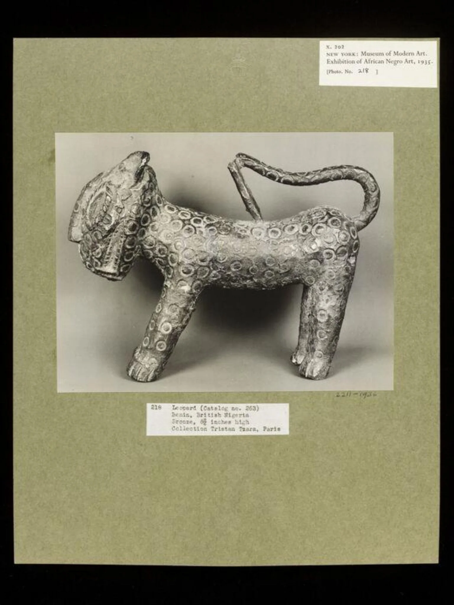 Leopard. Benin., detail