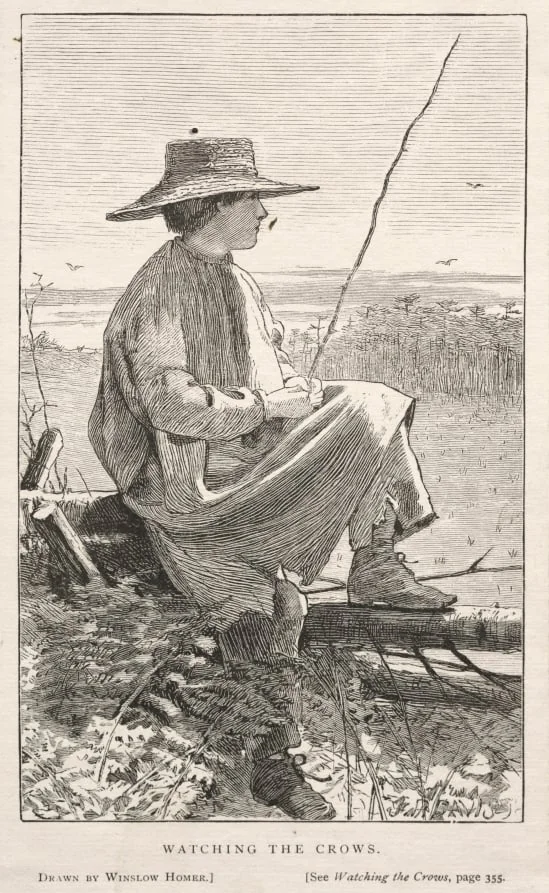 Watching the Crows, detail
