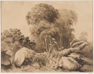 A Tree Cut Down, by Thomas Frederick Collier, watercolor, 1864