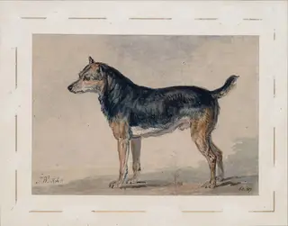 Sketch of a dog, by James Ward, watercolor, 1790