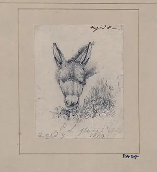 Drawing of a donkey, by Edwin Landseer, 1812