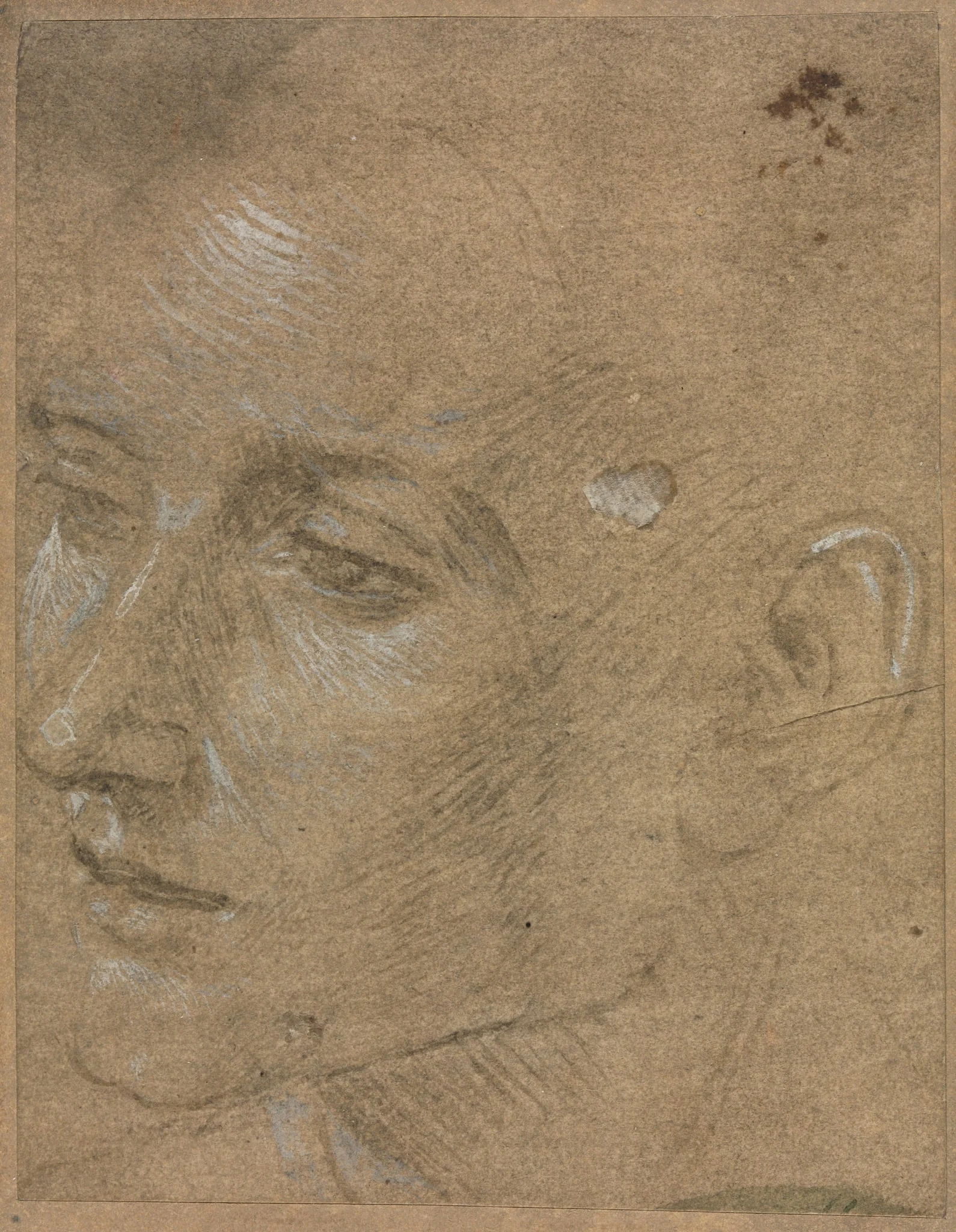 Head of a Young Man, detail