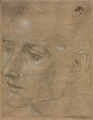 Head of a Young Man, by Filippino Lippi, 1404