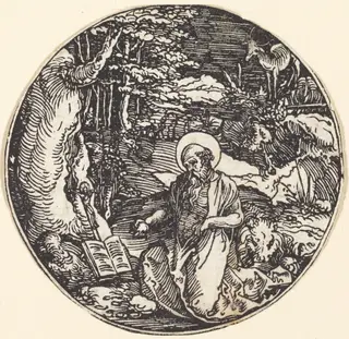 Saint Jerome in Penitence, by Hans Springinklee, ink, 1507