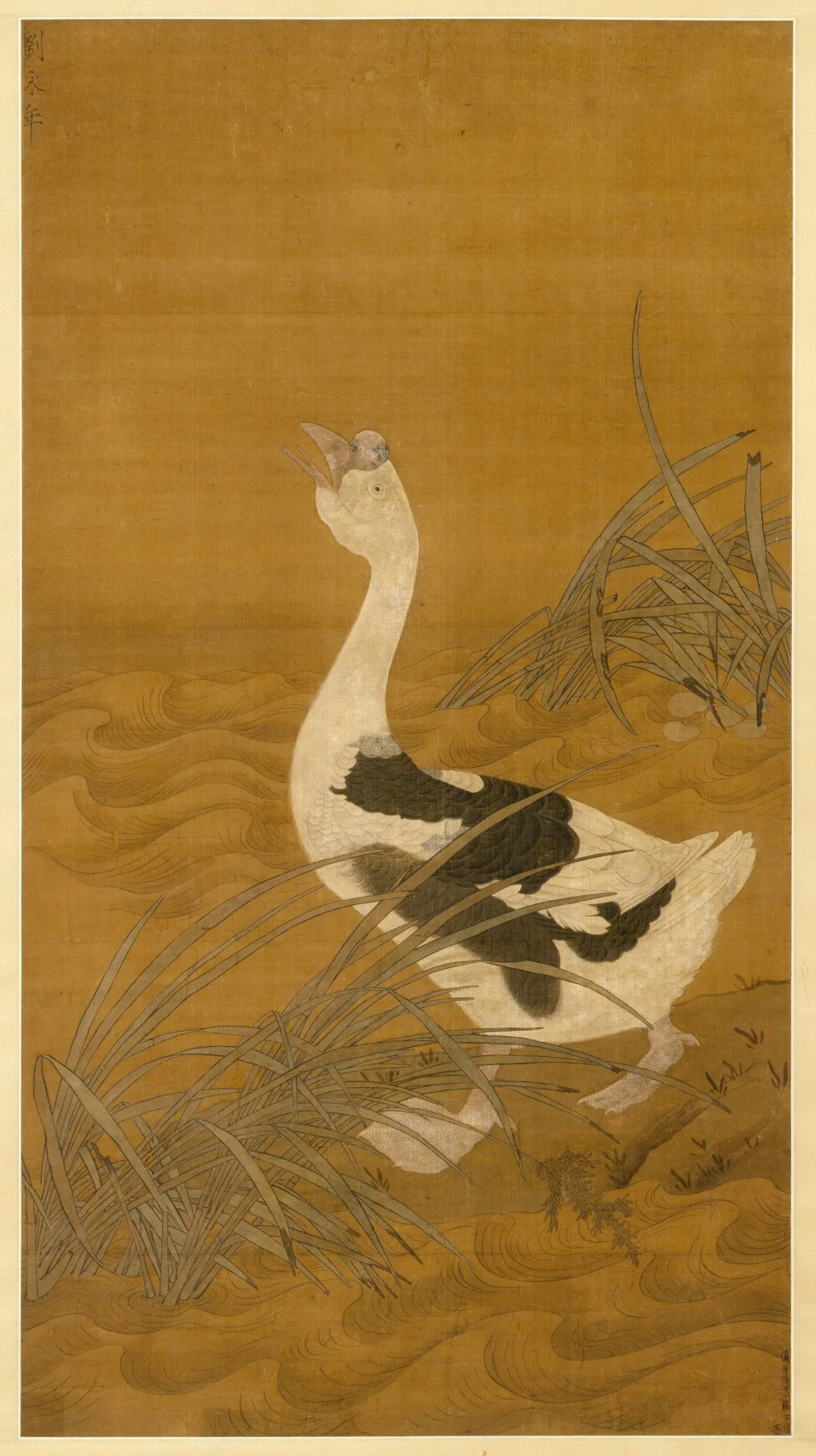 Swan Goose Among Water Reeds, detail