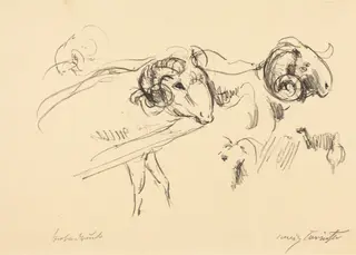 Schafböcke (Rams), by Lovis Corinth, ink, 1912
