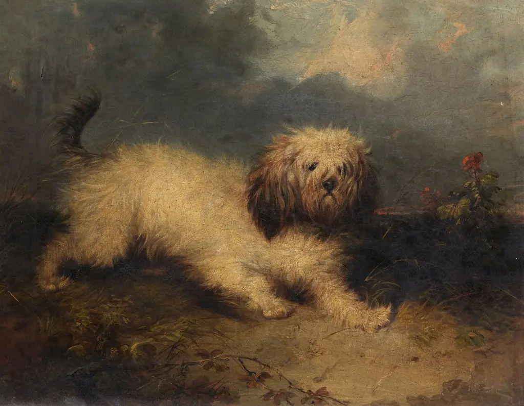 A Dog, by George Armfield, oil, 1858