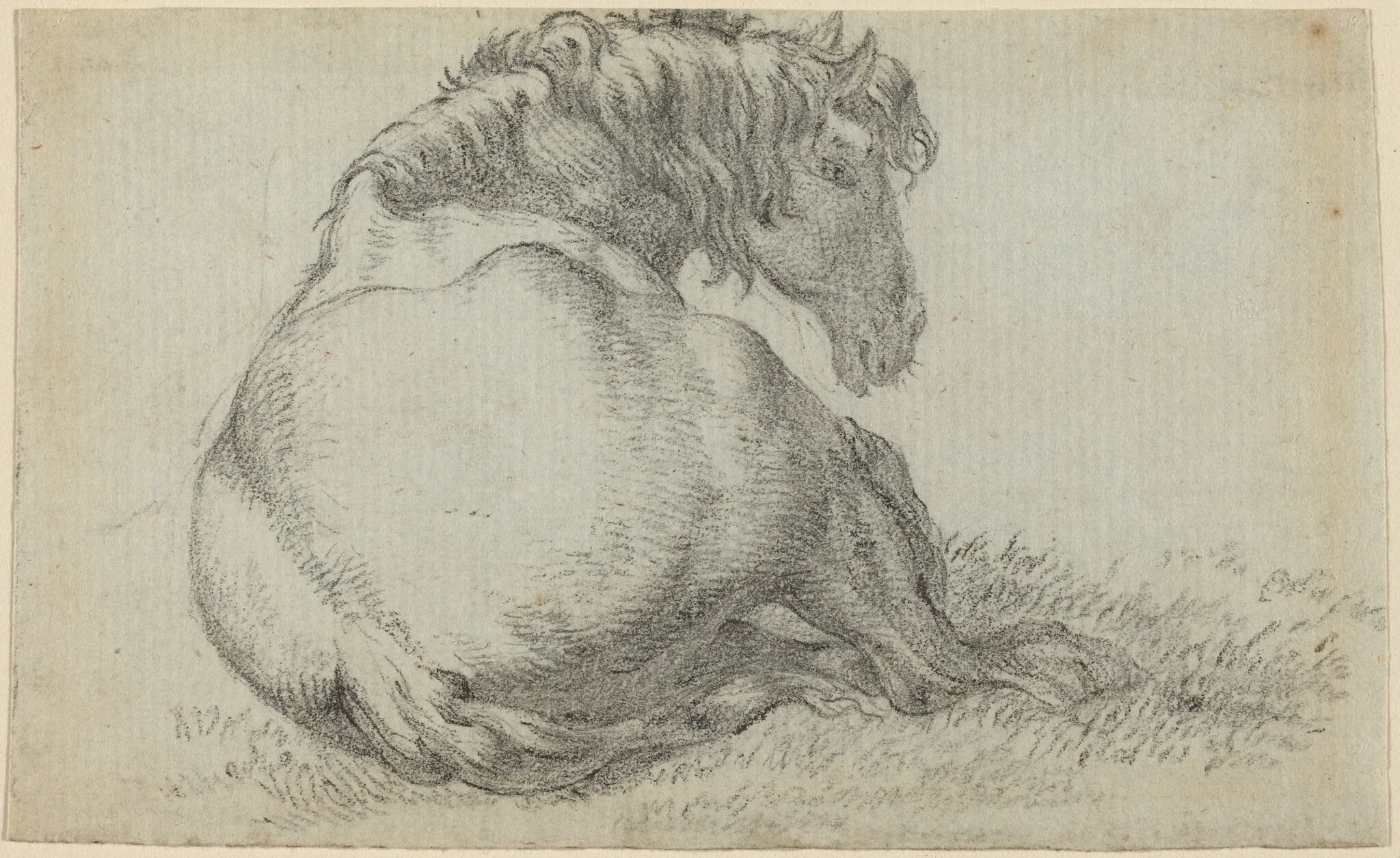Resting Horse, detail