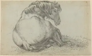 Resting Horse, by Paulus Potter, chalk, 1640
