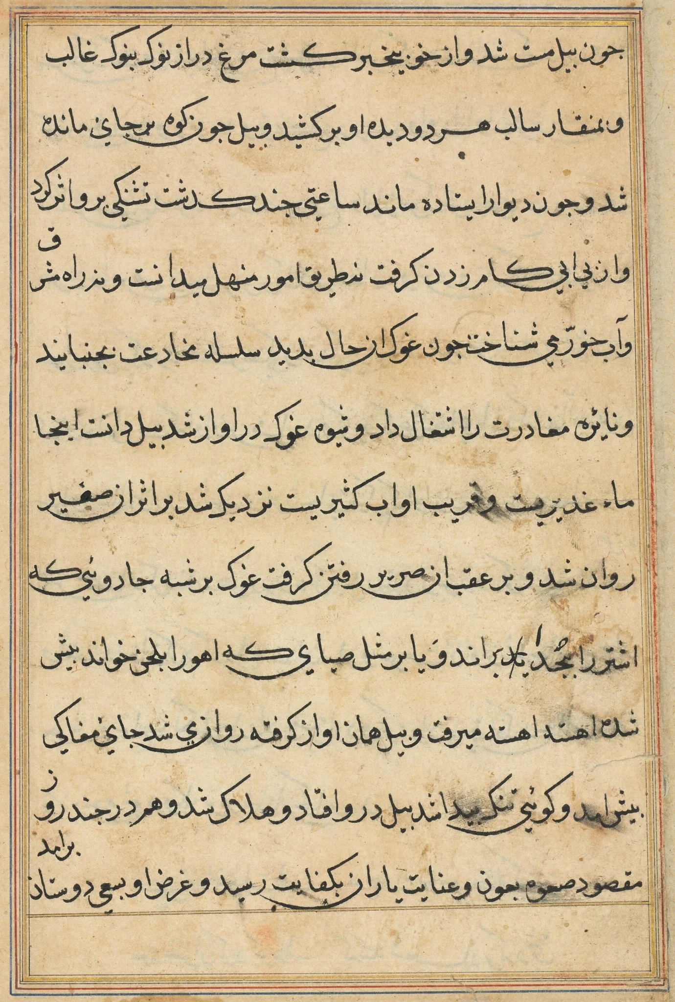 Page from Tales of a Parrot (Tuti-nama): text page, detail