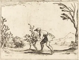Man Cutting a Balm-Tree, by Jacques Callot, ink, 1628