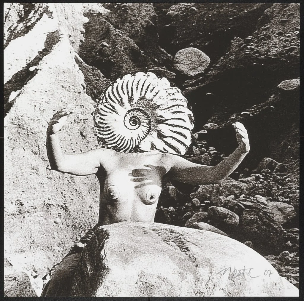 Untitled, detail