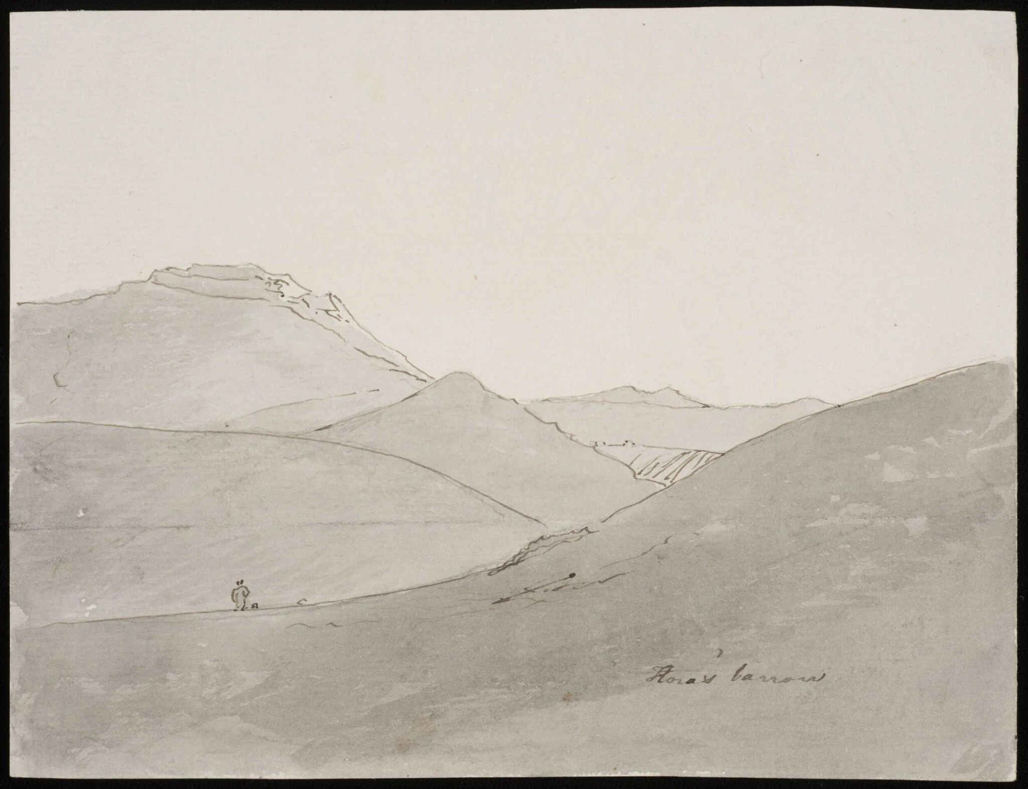 Flora's Barrow, detail