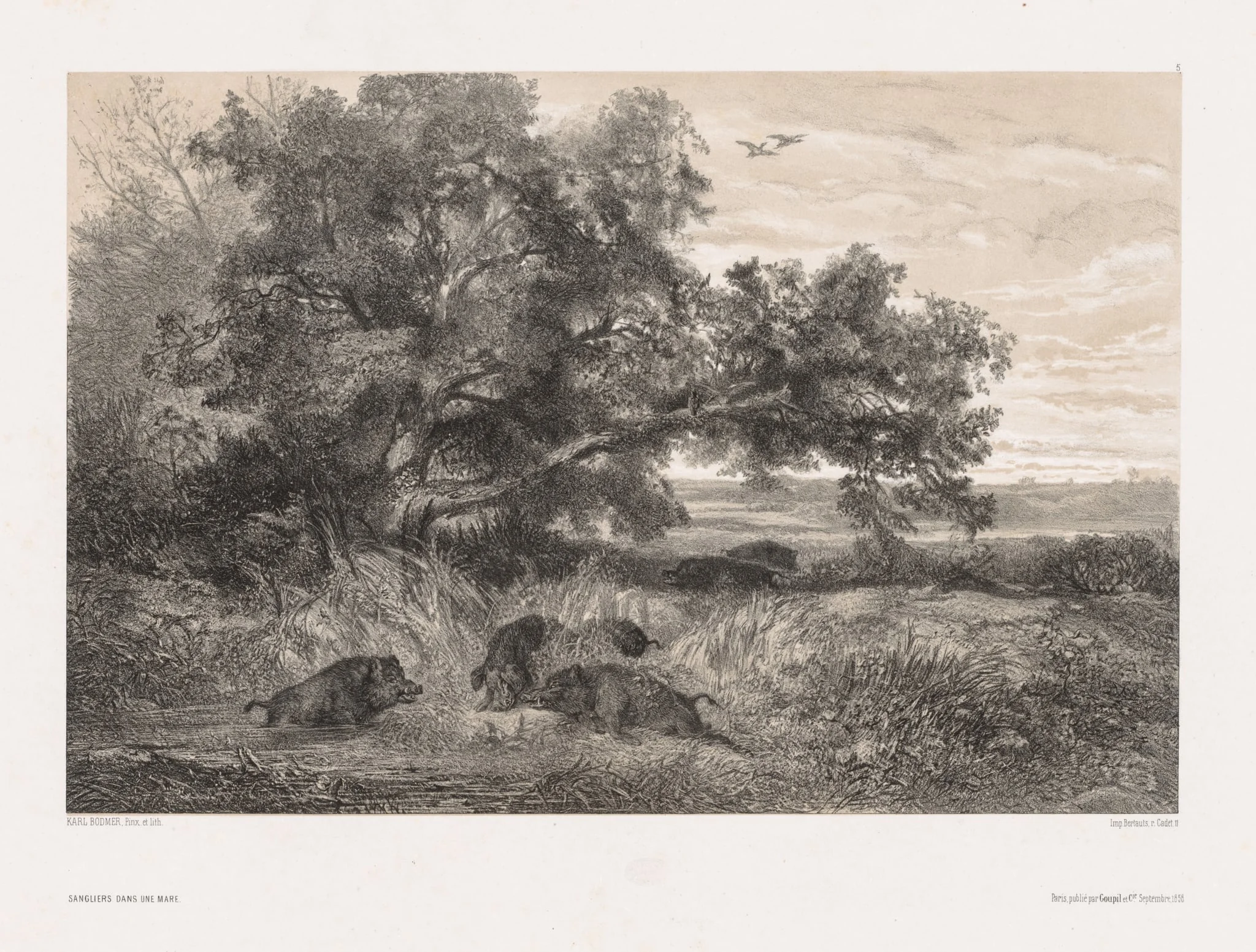 Animals and Landscape after Nature: Wild Boar in a Pond, detail