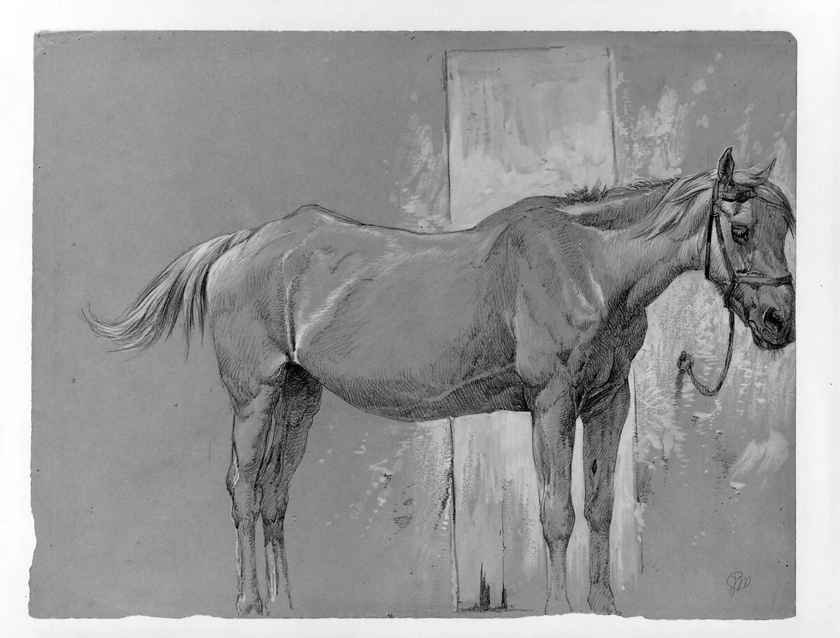 Horse, Fort Stanton, New Mexico, detail