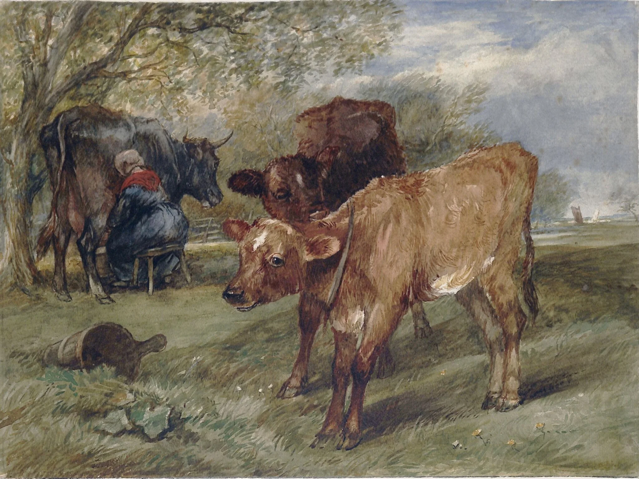 Calves, detail