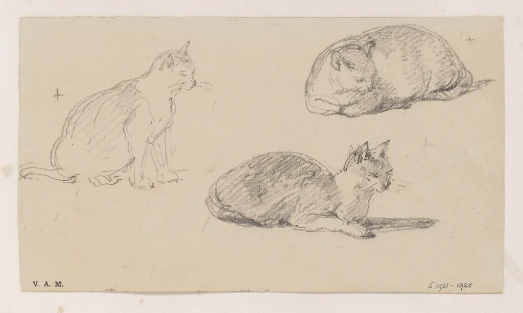 Three drawings of a cat, by George Chinnery, 19