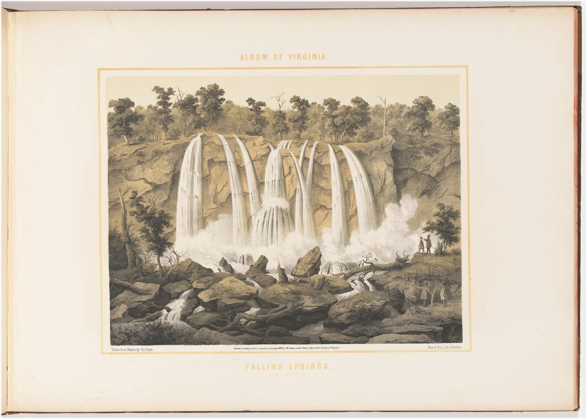 Falling Springs, detail