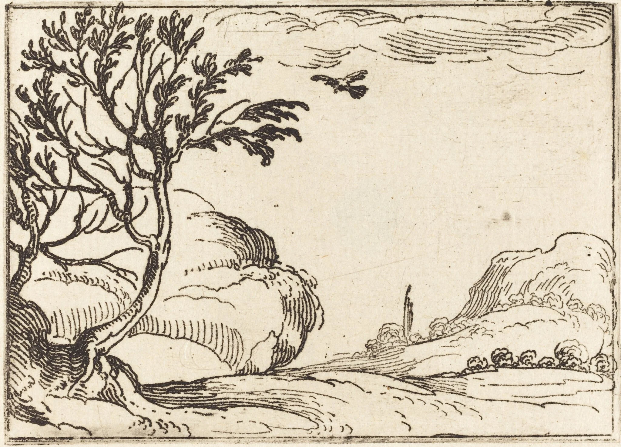 Turtle Dove Flying in the Desert, detail