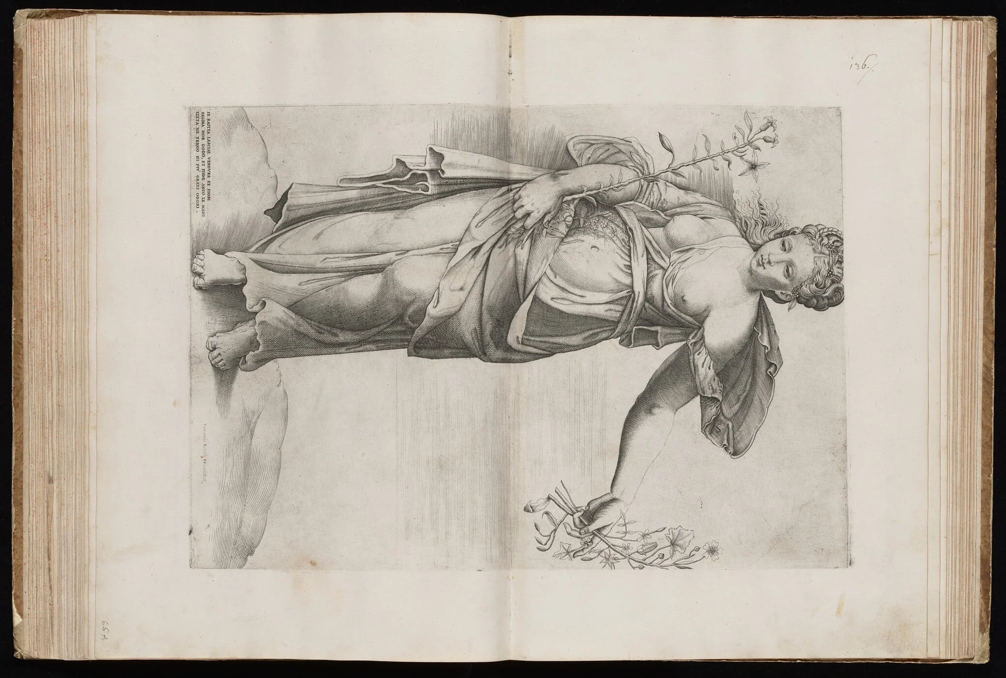 Flora, detail