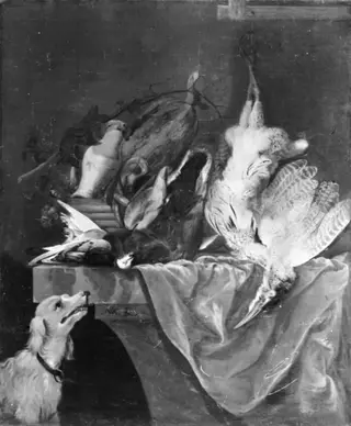 Dead Wildfowl