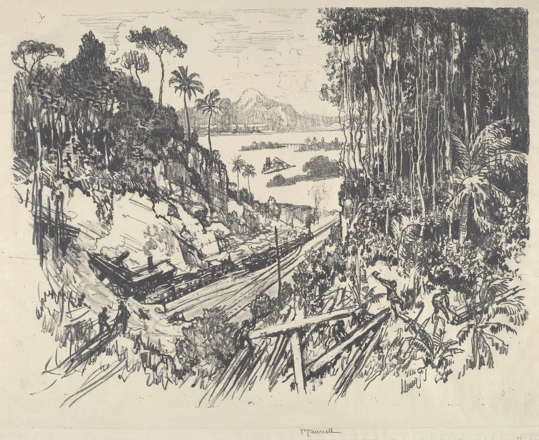 The Jungle, detail