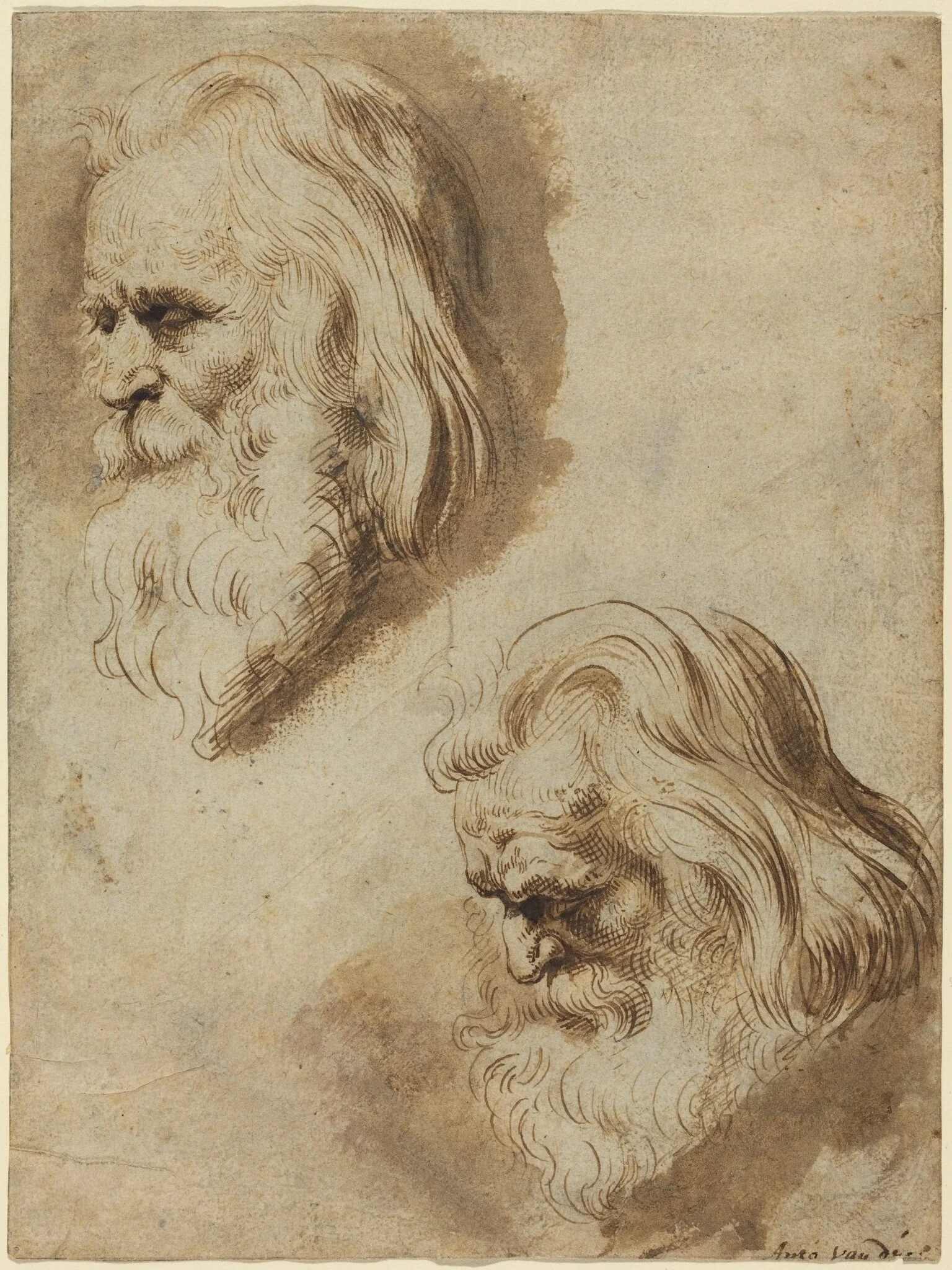 Two Studies of an Elderly Man's Head, detail