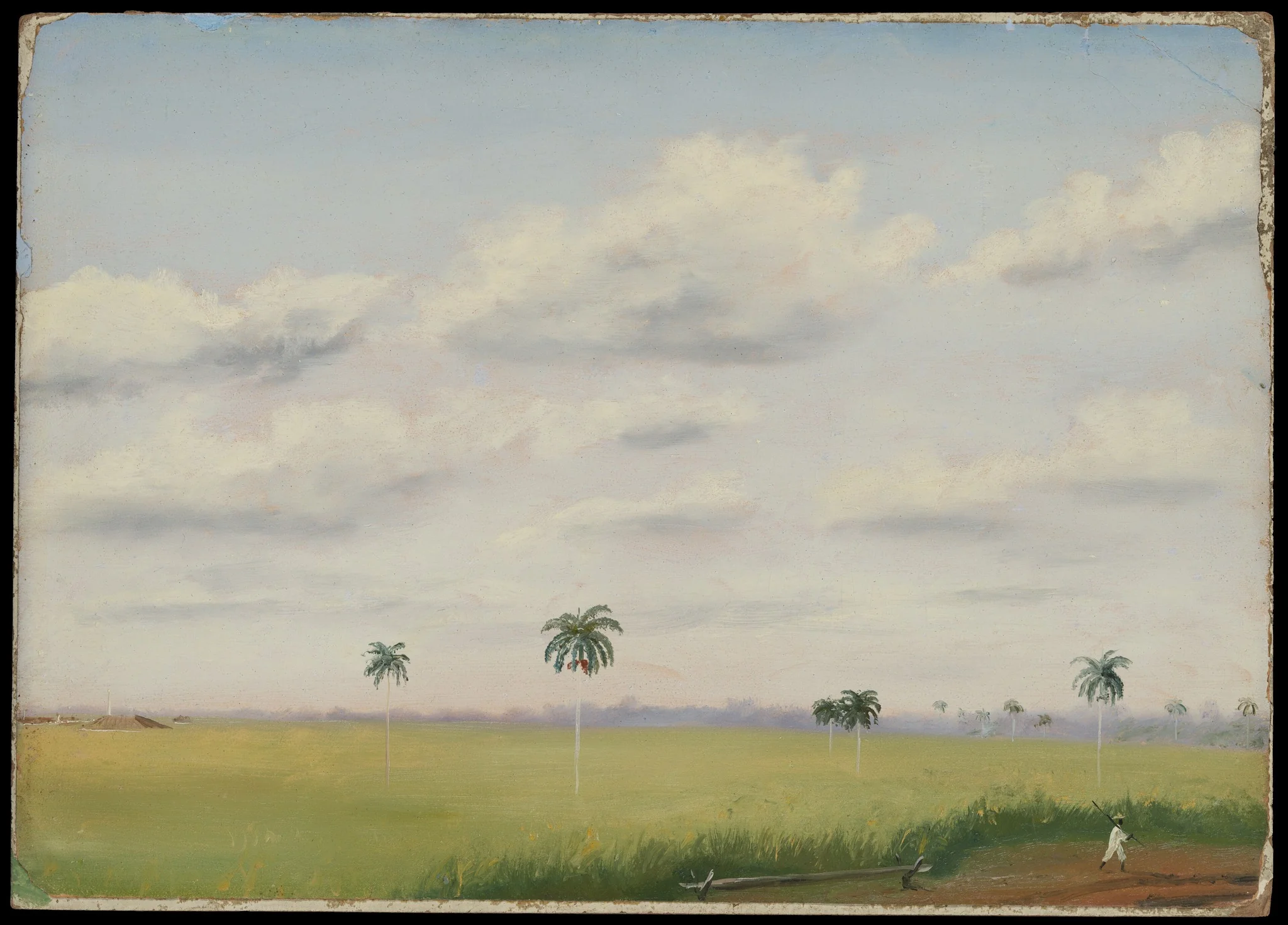 Ingo, San Martin, Cuba, detail