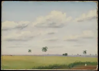 Ingo, San Martin, Cuba, by Charles de Wolf Brownell, unspecified, 1859