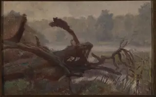 Deep forest – Windthrows, sketch for a painting, by Józef Chełmoński