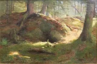 Deep in the Woods