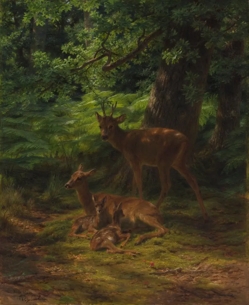 Deer in Repose