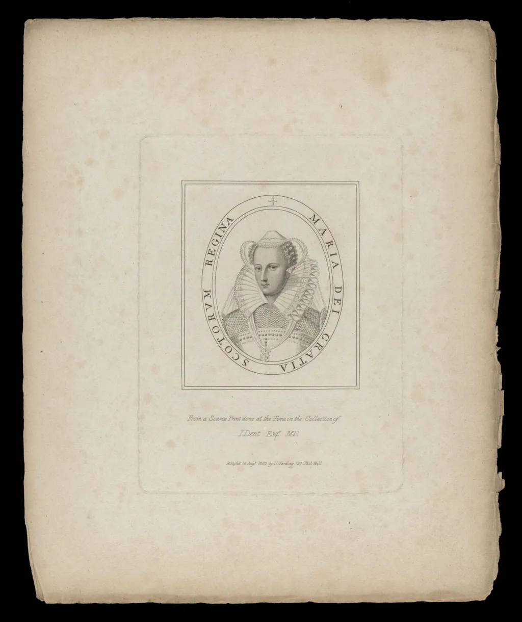 H Beard Print Collection, by Dent, 16