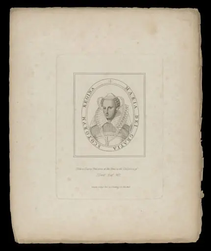 H Beard Print Collection, by Dent