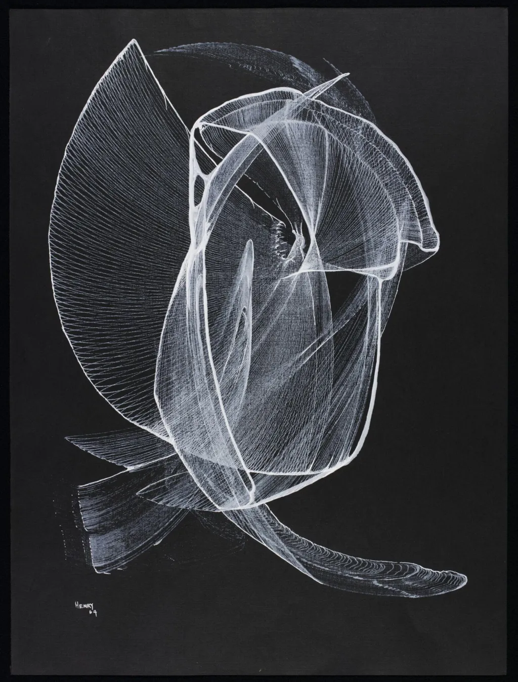Untitled, by Desmond Paul Henry, 1964