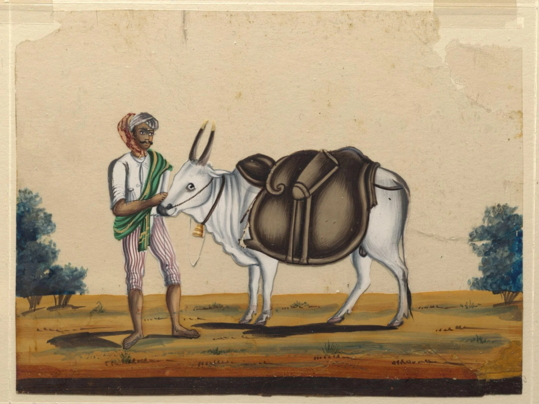 A bullock carrying a leather mussack with a driver, detail