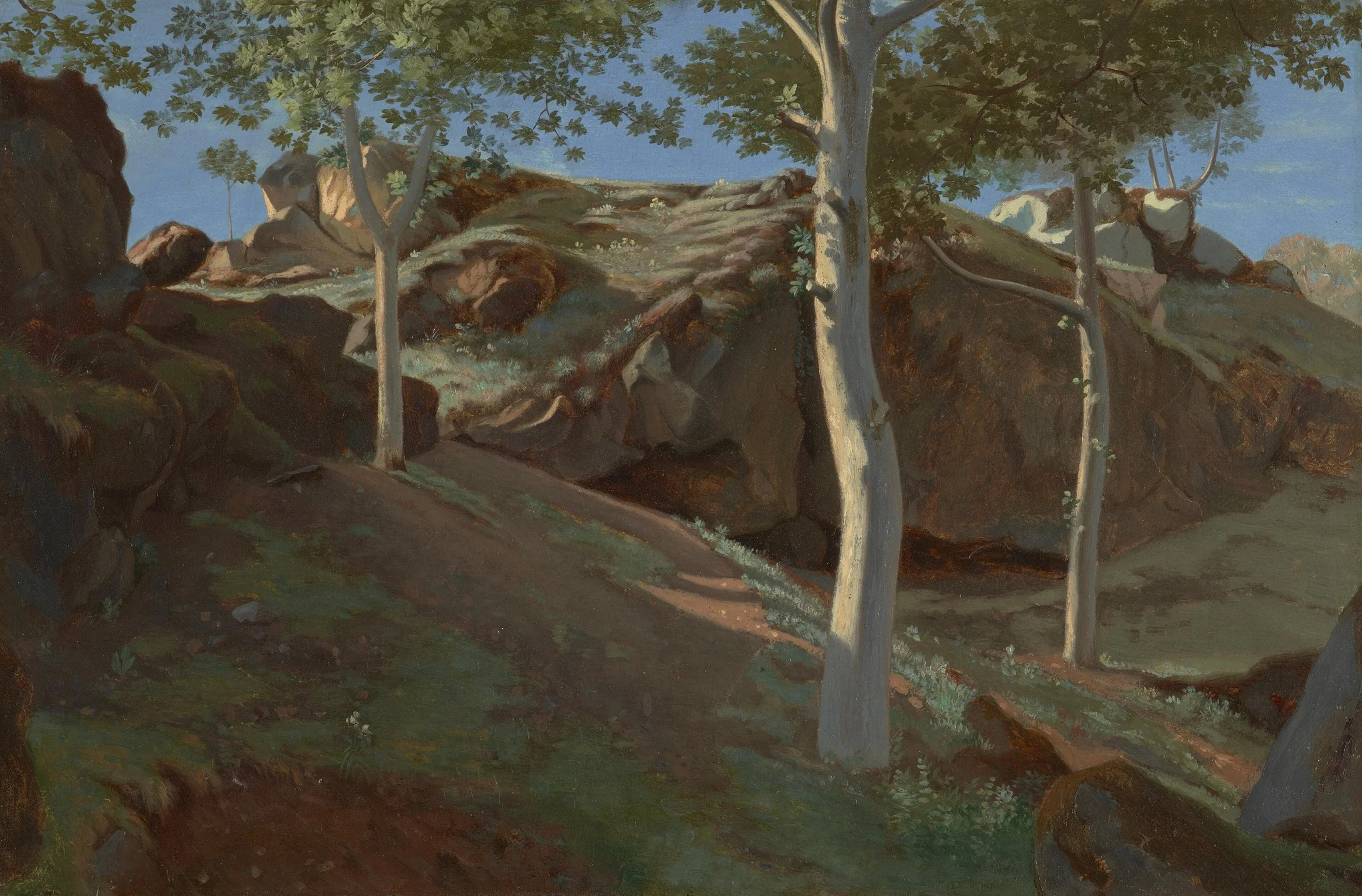 Birch Trees on a Rocky Incline: Fontainebleu, detail