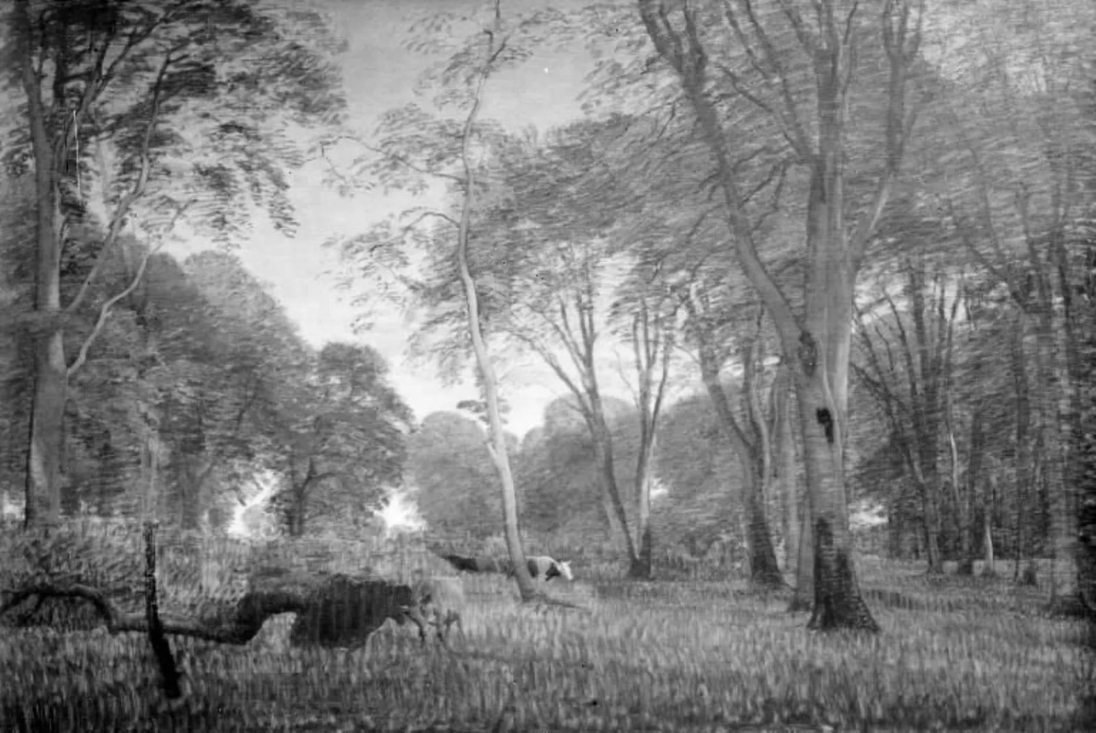 Køer i en skov ved aften, detail