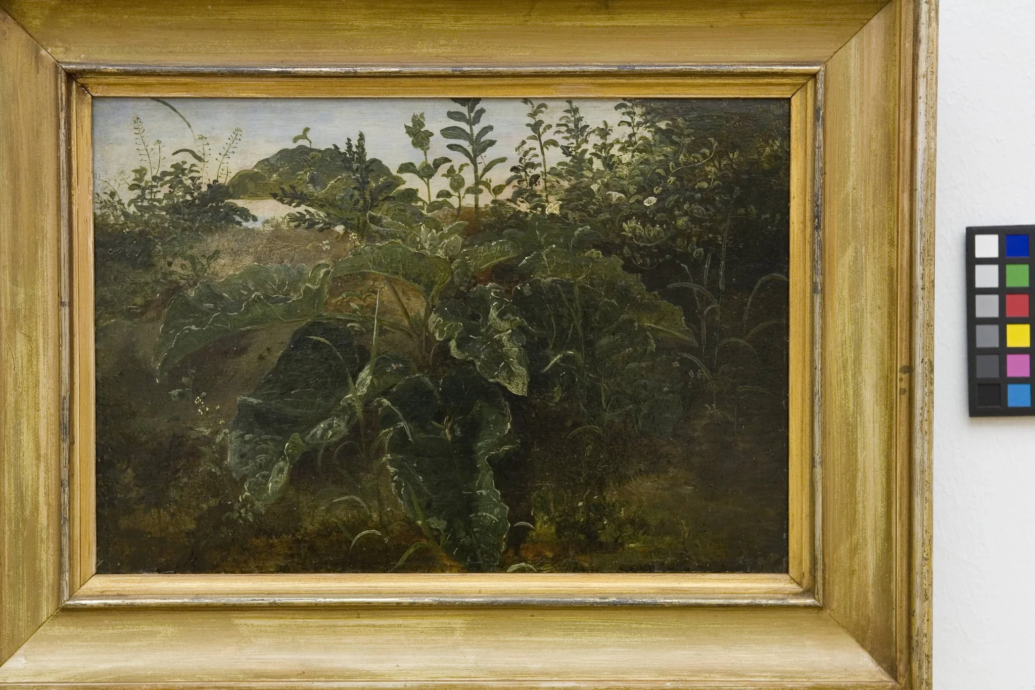 Foreground Study with Dock Leaves, detail