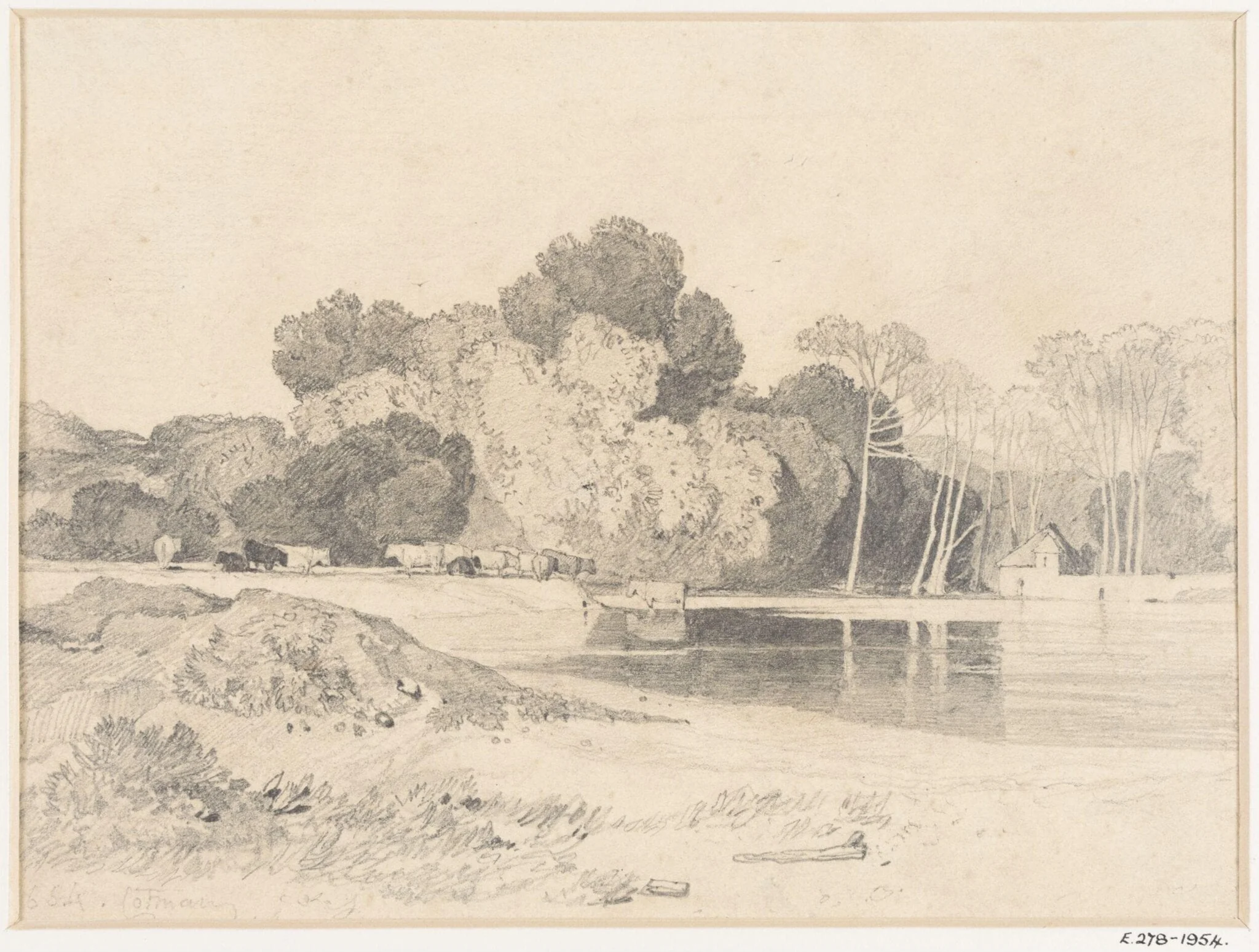 Cattle grazing beside a lake, detail