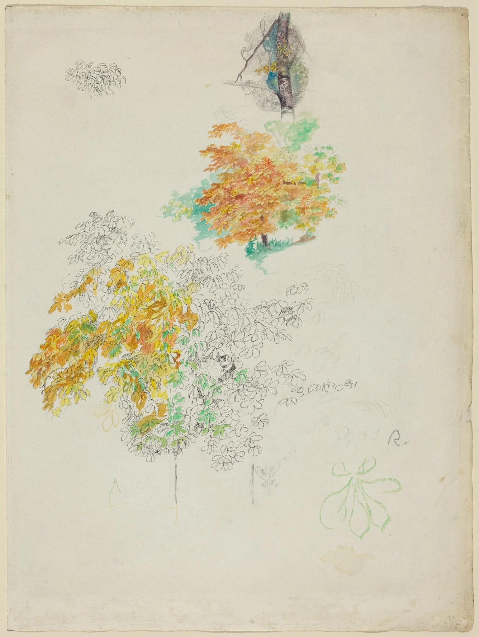 Studies of Trees, detail