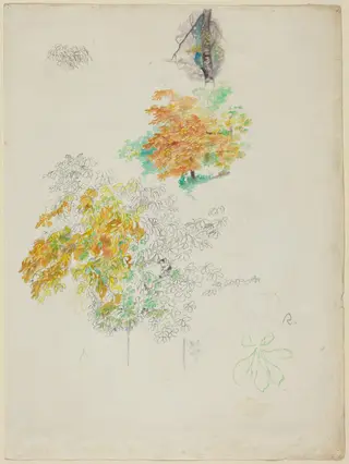 Studies of Trees, by Pierre-Auguste Renoir, ink, 1886