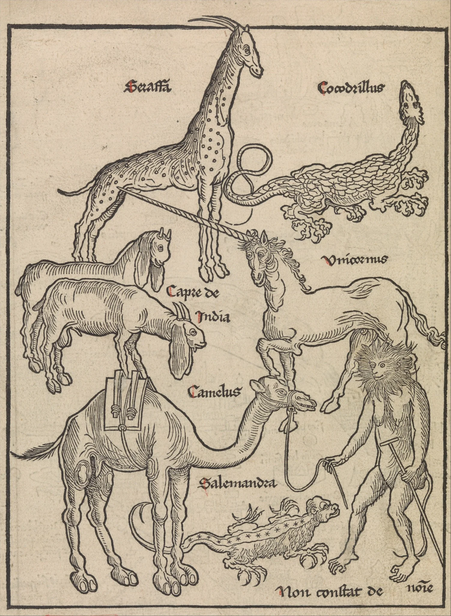 Animals of the Holy Land, detail