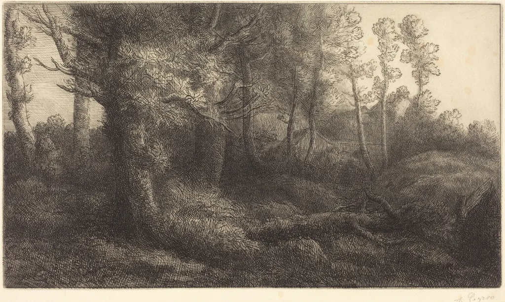 In the Forest (Lisiere de foret), by Alphonse Legros, ink, 1874