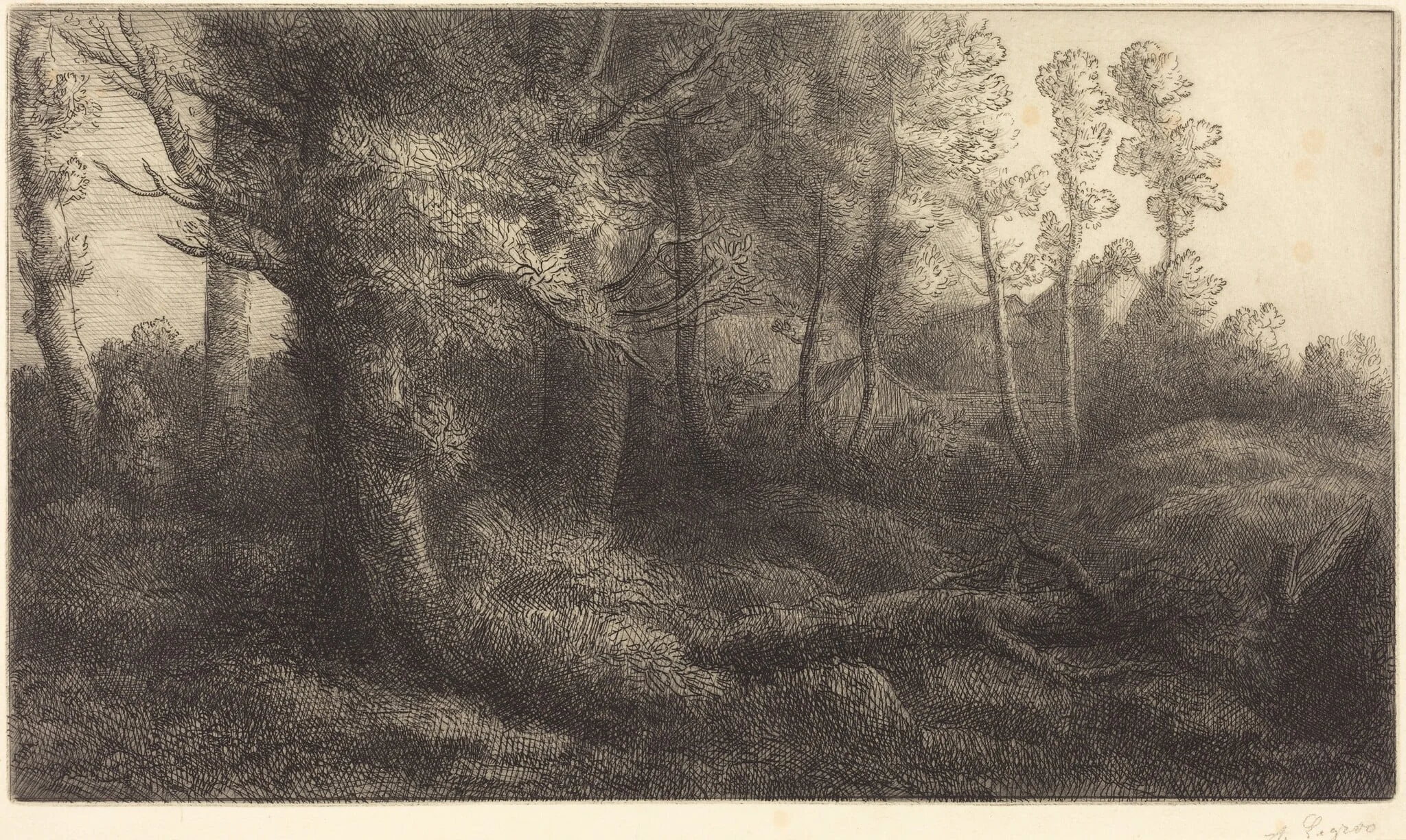 In the Forest (Lisiere de foret), detail