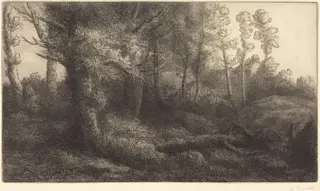 In the Forest (Lisiere de foret), by Alphonse Legros, ink, 1874