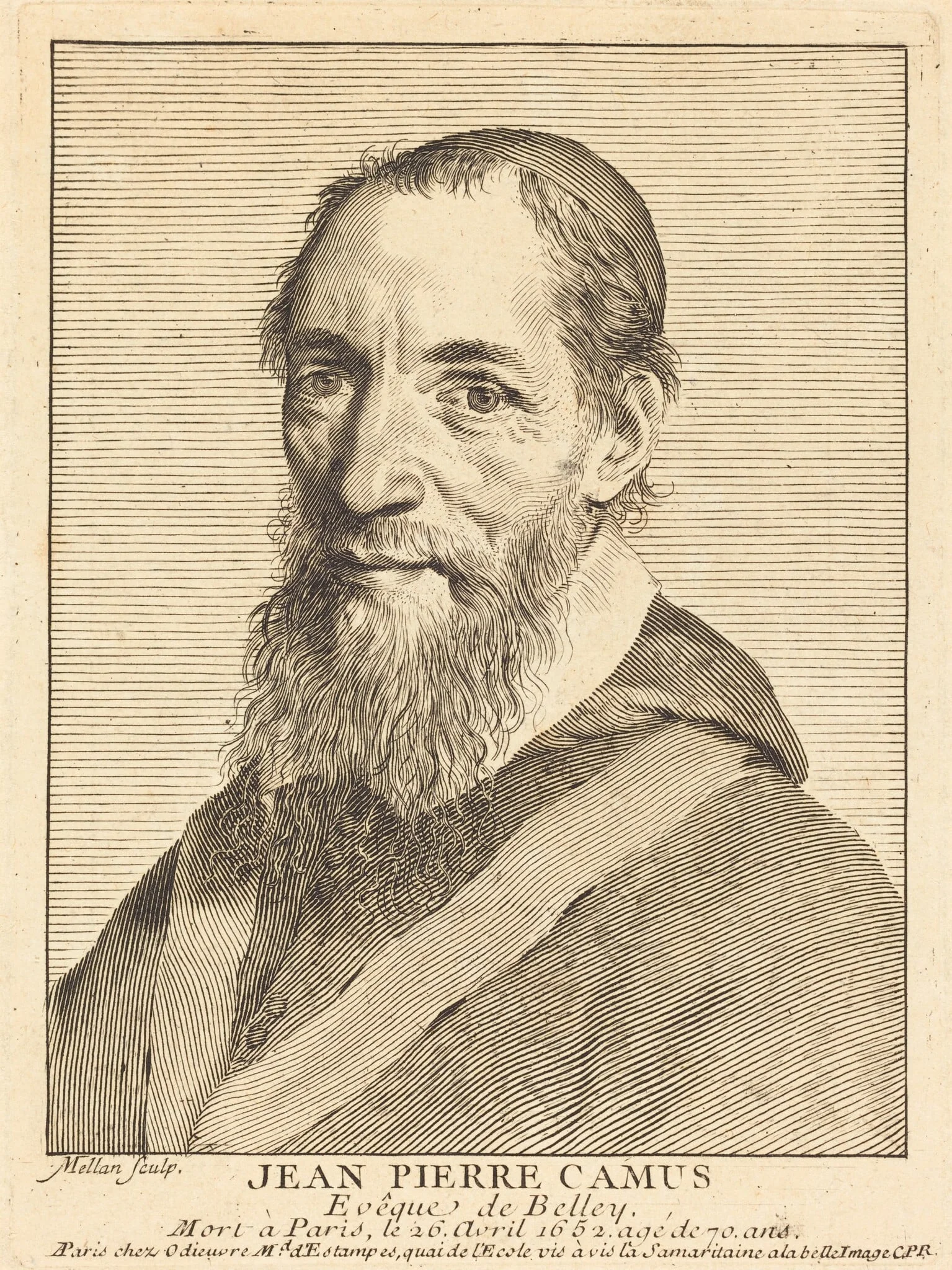 Jean Pierre Camus, detail