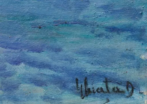 PEISAJ LA MARE