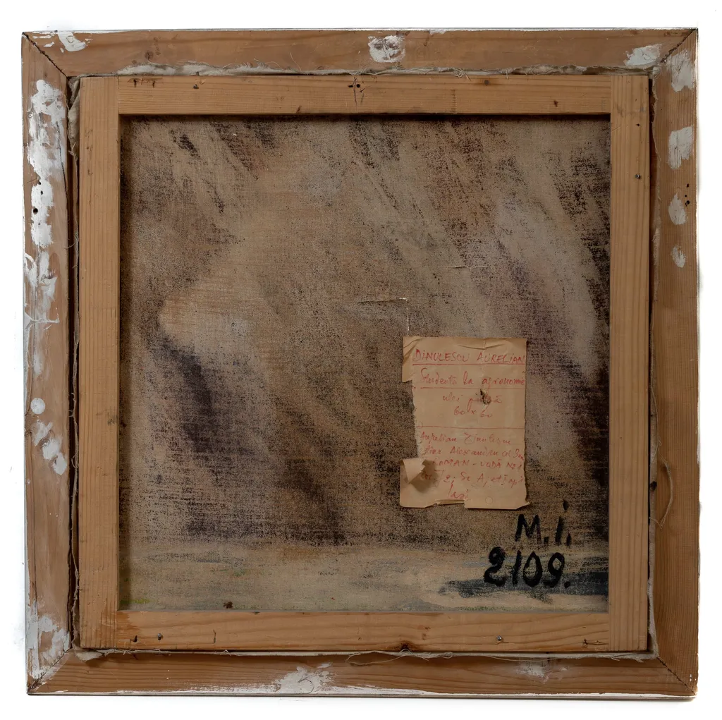 Studentă la agronomie, by Dinulescu Aurelian
