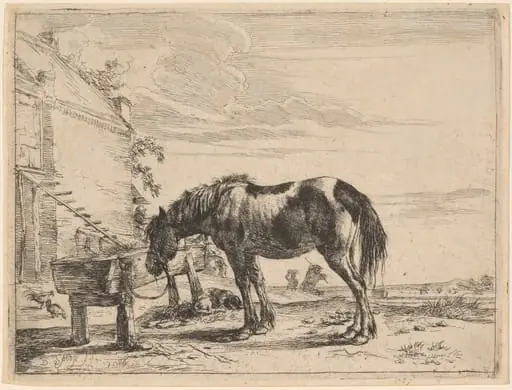 A Horse Bound to a Feeding Trough, by Dirck Stoop